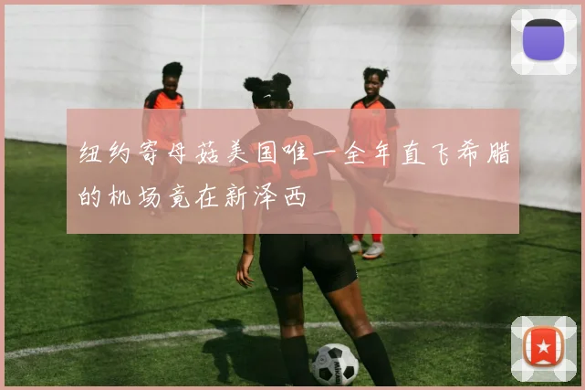 纽约寄母菇美国唯一全年直飞希腊的机场竟在新泽西