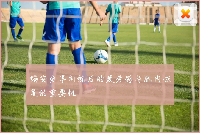锡安分享训练后的疲劳感与肌肉恢复的重要性